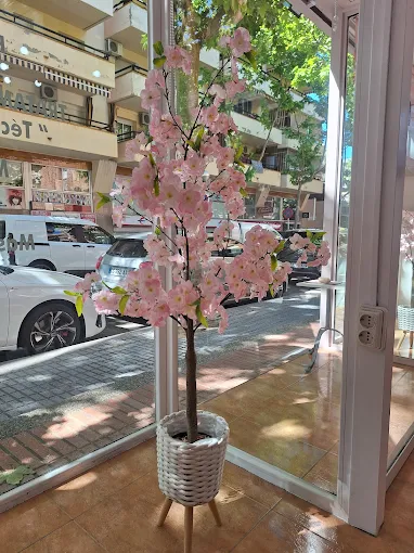 Galería Salou Spa 7